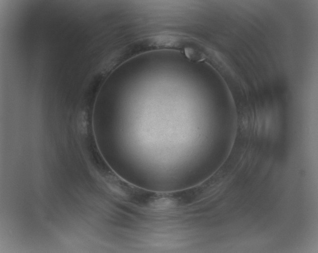 X0000070240551200606021133