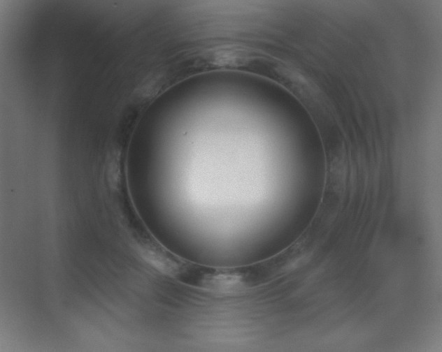 X0000070240554200606021133