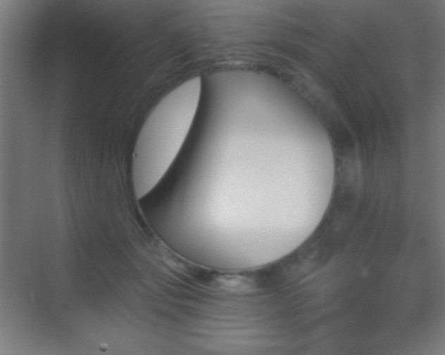 X0000070240557200606021133