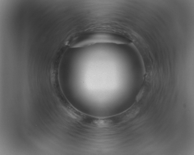 X0000070240558200606021133