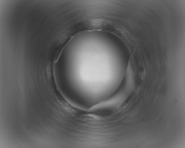 X0000070240562200606021133