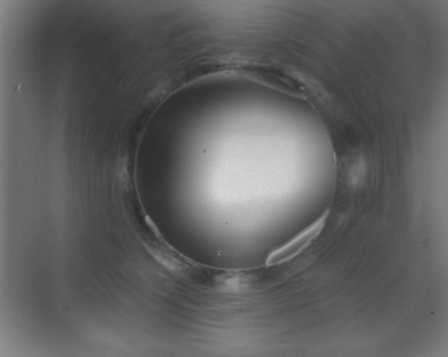 X0000070240564200606021133