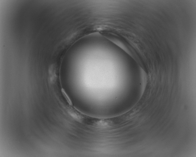 X0000070240566200606021133