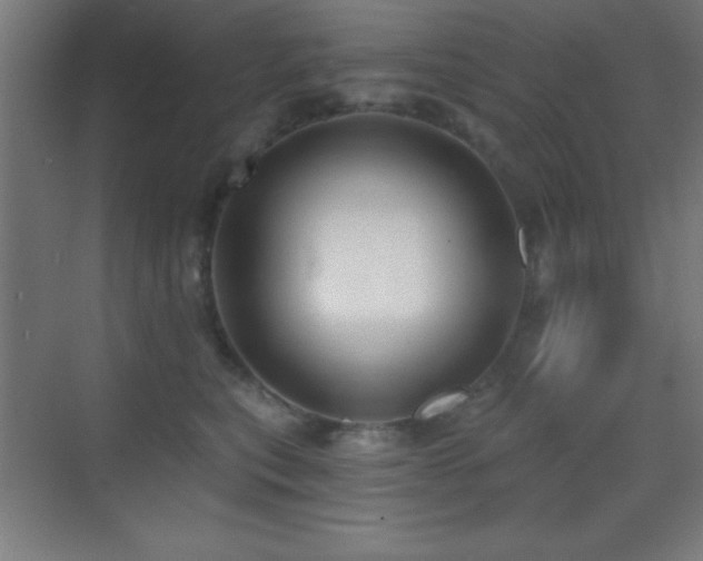 X0000070240567200606021133