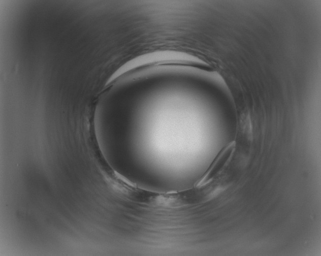 X0000070240570200606021133