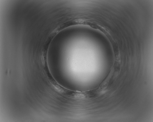 X0000070240572200606021133