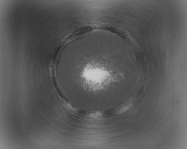 X0000070240576200606021133