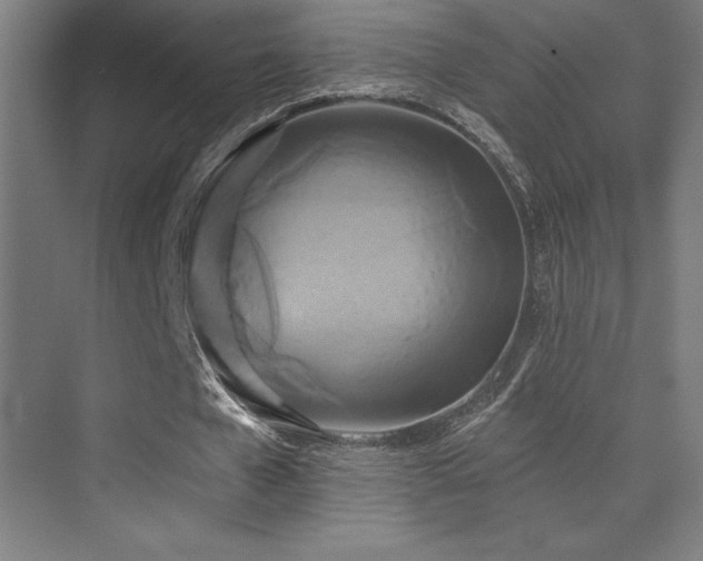 X0000070240577200606021132
