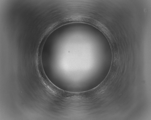 X0000070240578200606021132