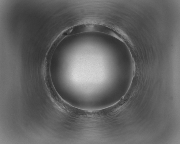 X0000070240580200606021132