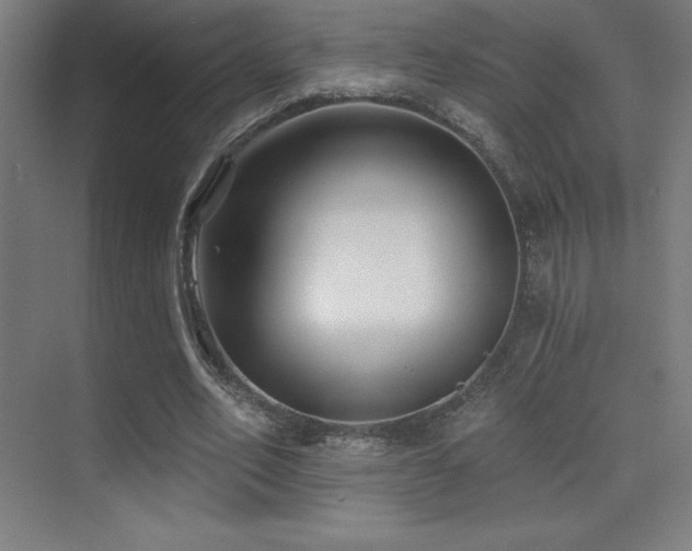X0000070240582200606021132