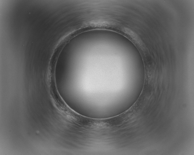 X0000070240583200606021132