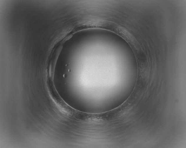 X0000070240586200606021132