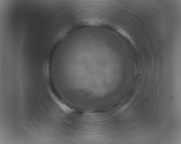 X0000070240589200606021132