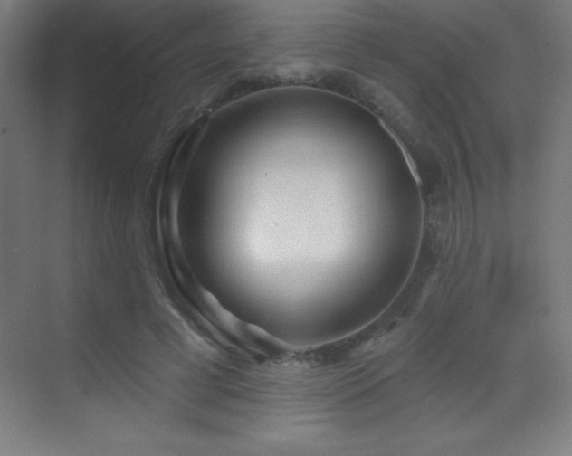 X0000070240593200606021132