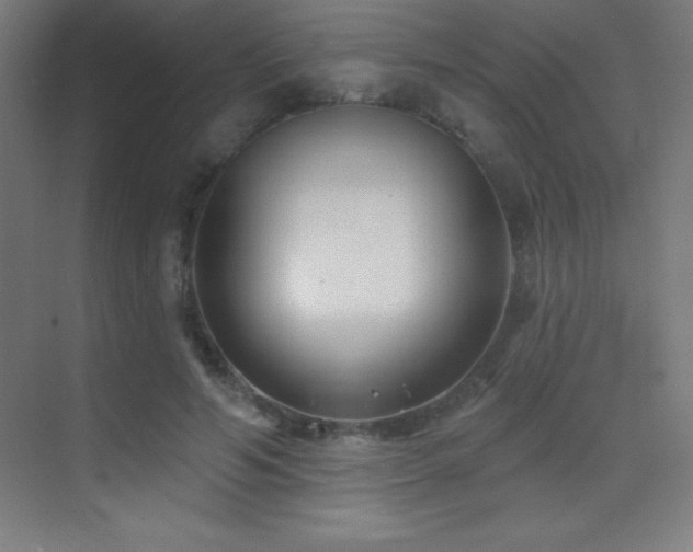 X0000070240594200606021132