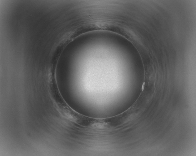 X0000070240595200606021132