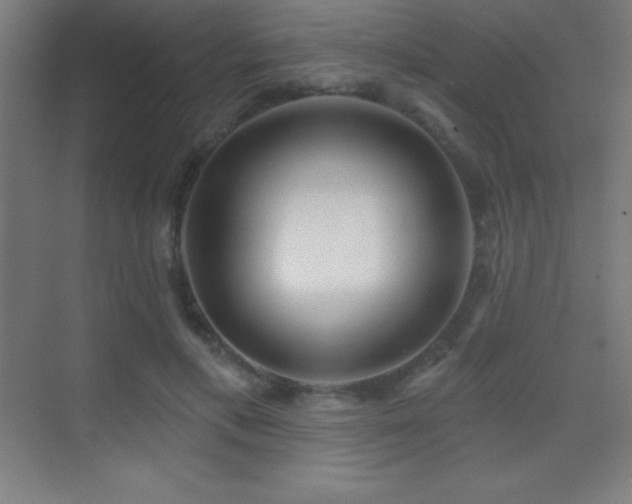 X0000070240597200606021132
