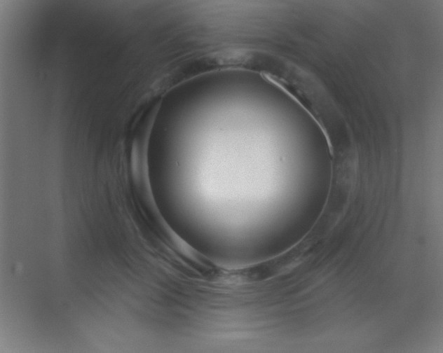 X0000070240604200606021132