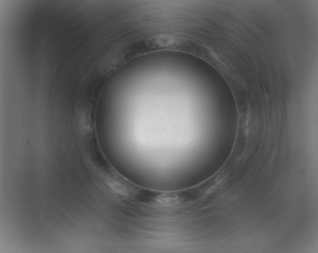 X0000070240606200606021132