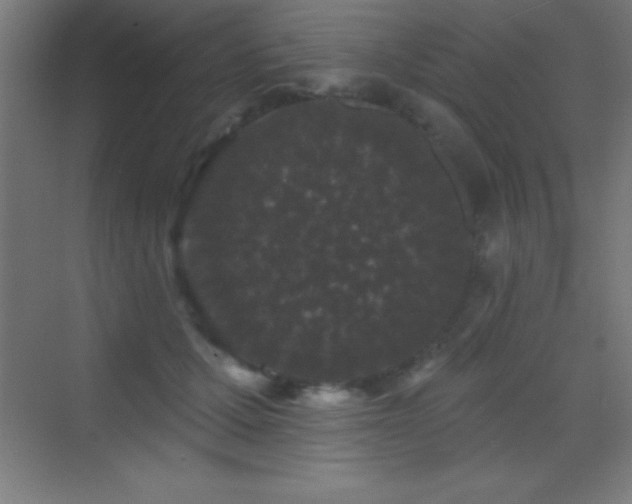 X0000070240607200606021132