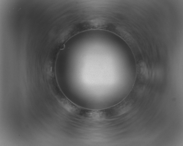 X0000070240615200606021132