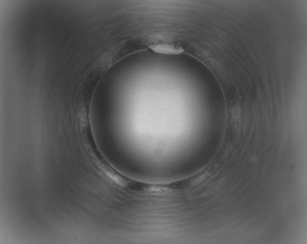 X0000070240617200606021132