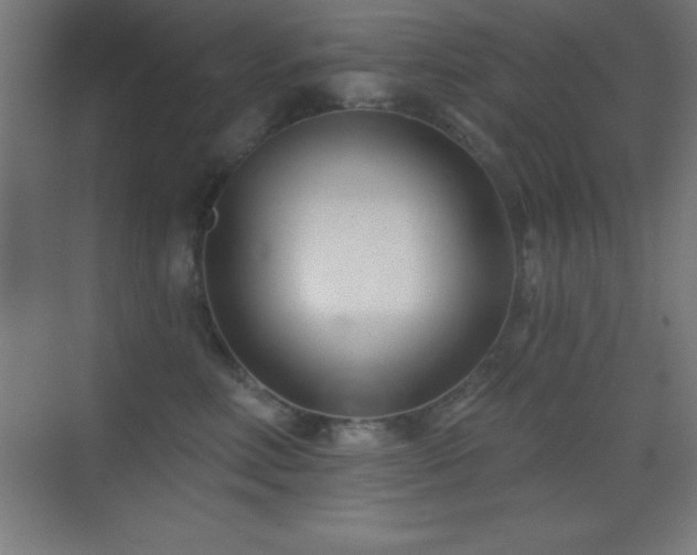 X0000070240618200606021132