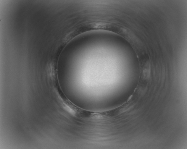 X0000070240620200606021132