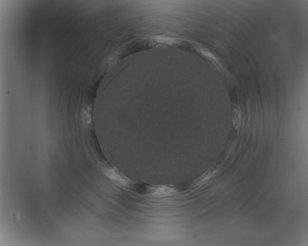 X0000070240621200606021131