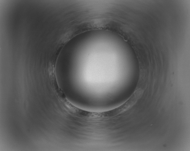 X0000070240624200606021131