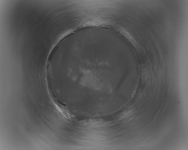 X0000070240626200606021131