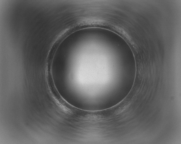 X0000070240629200606021131