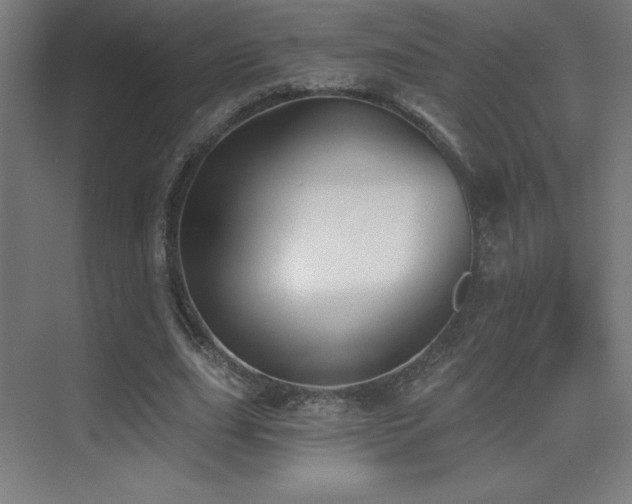 X0000070240631200606021131