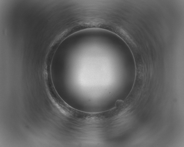 X0000070240634200606021131