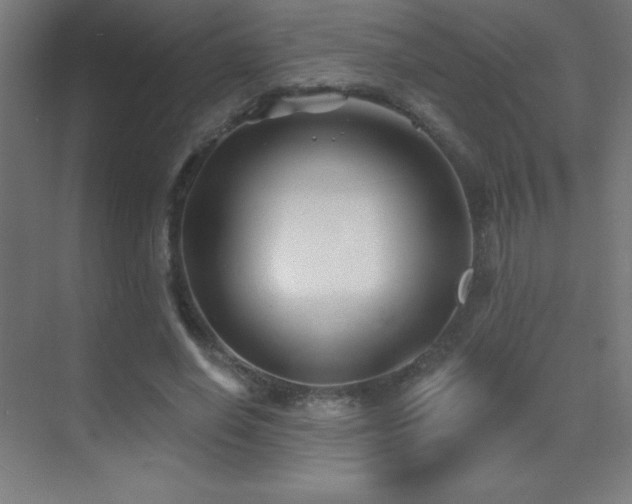 X0000070240638200606021131