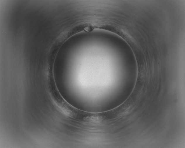 X0000070240639200606021131