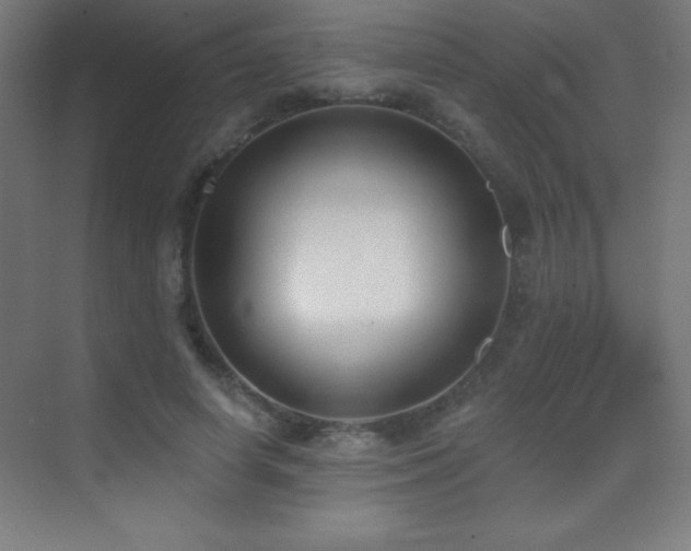 X0000070240642200606021131