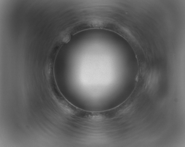 X0000070240645200606021131
