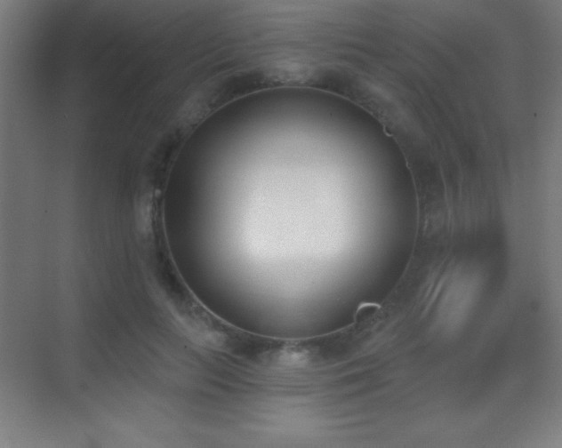 X0000070240647200606021131