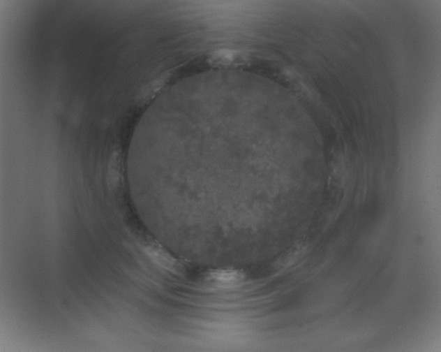 X0000070240659200606021131