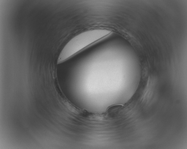X0000070240661200606021131