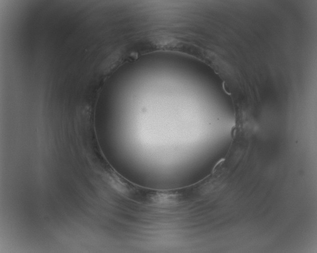 X0000070240664200606021131