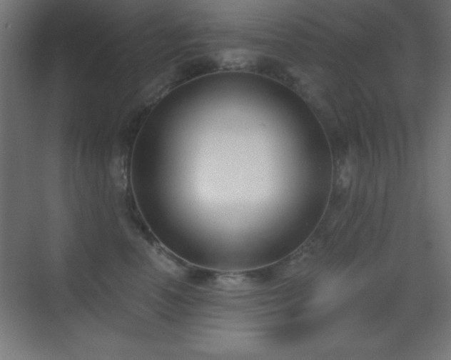 X0000070240666200606021131