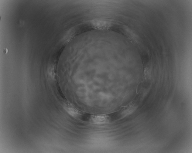 X0000070240671200606021131
