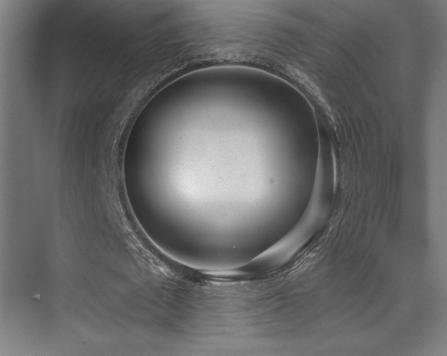 X0000070240673200606021131