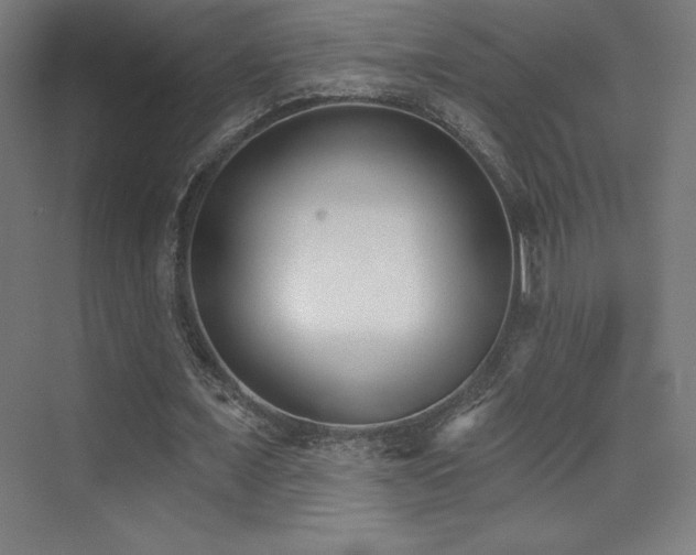 X0000070240675200606021131