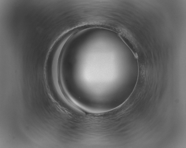 X0000070240676200606021131