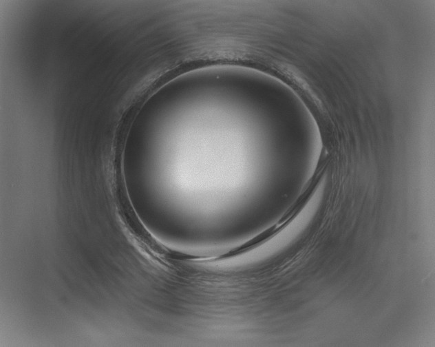 X0000070240677200606021131