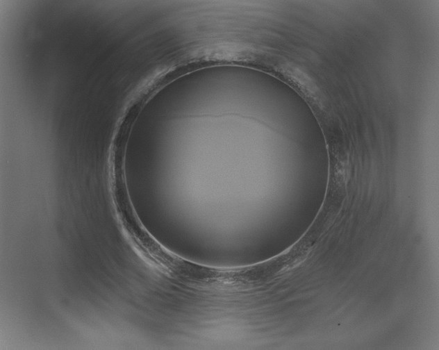 X0000070240678200606021131
